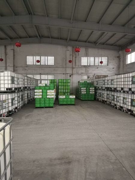 Çin Shenzhen Taiqiang Investment Holding Co., Ltd şirket Profili